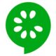 Cucumber